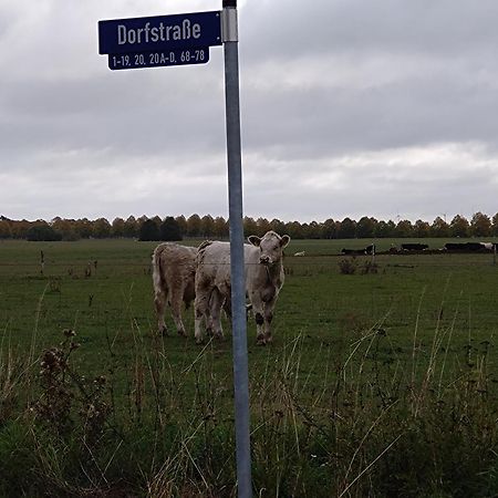 Moderne Barrierefreie Wohnung Auf Dem Land Bei Neuruppin Lichtenberg  Екстер'єр фото